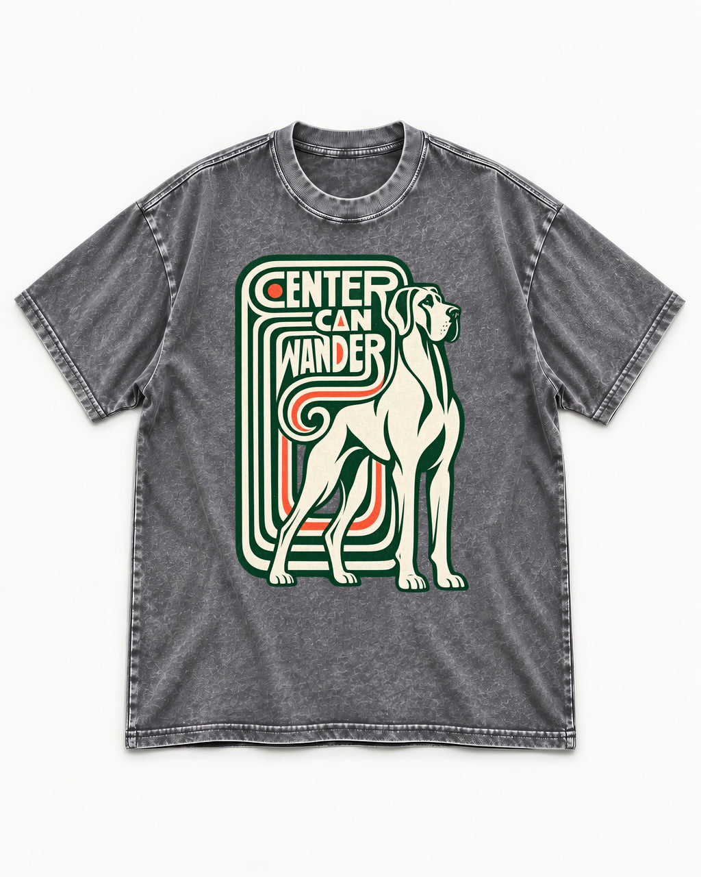 Great Dane Center Can Wander Washed Tee in Gray, flat lay product photo