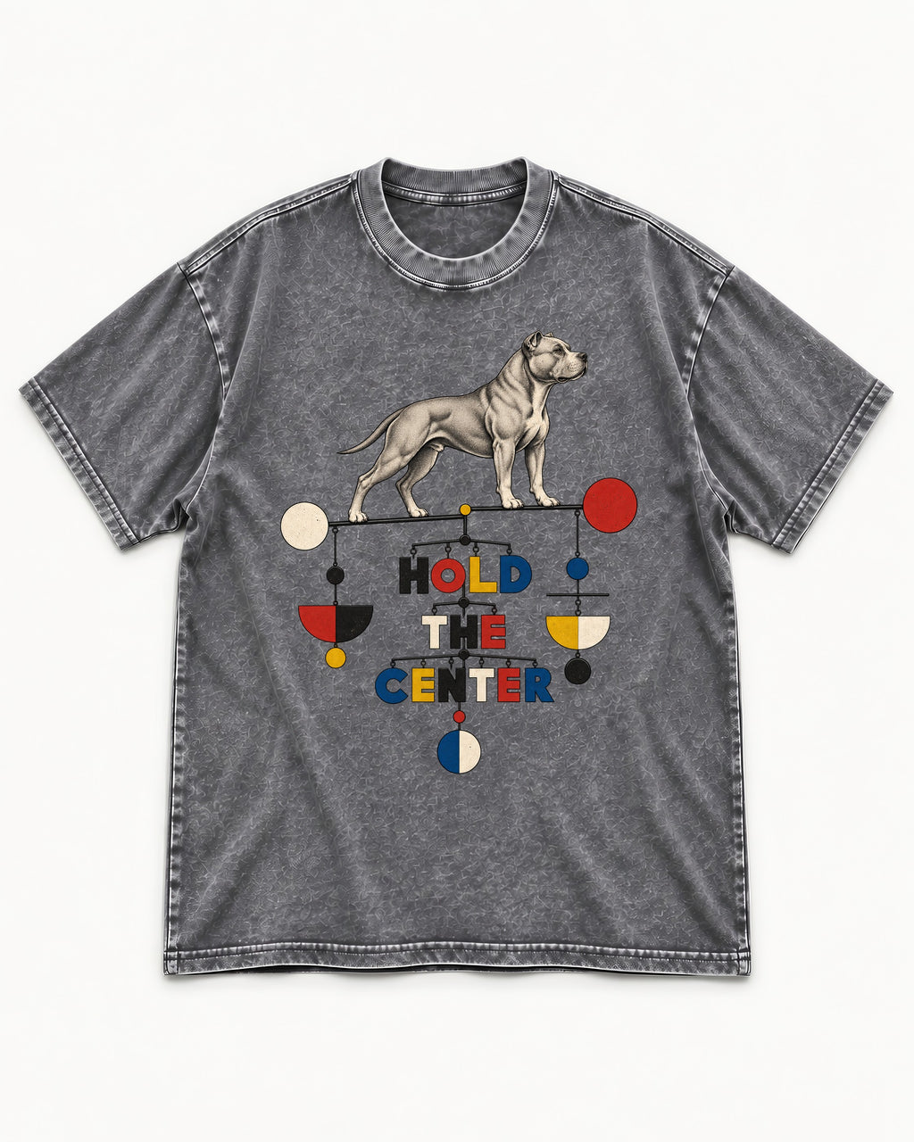 Pitbull Hold the Center Balance Mobile Graphic Washed Tee in Gray, flat lay product photo