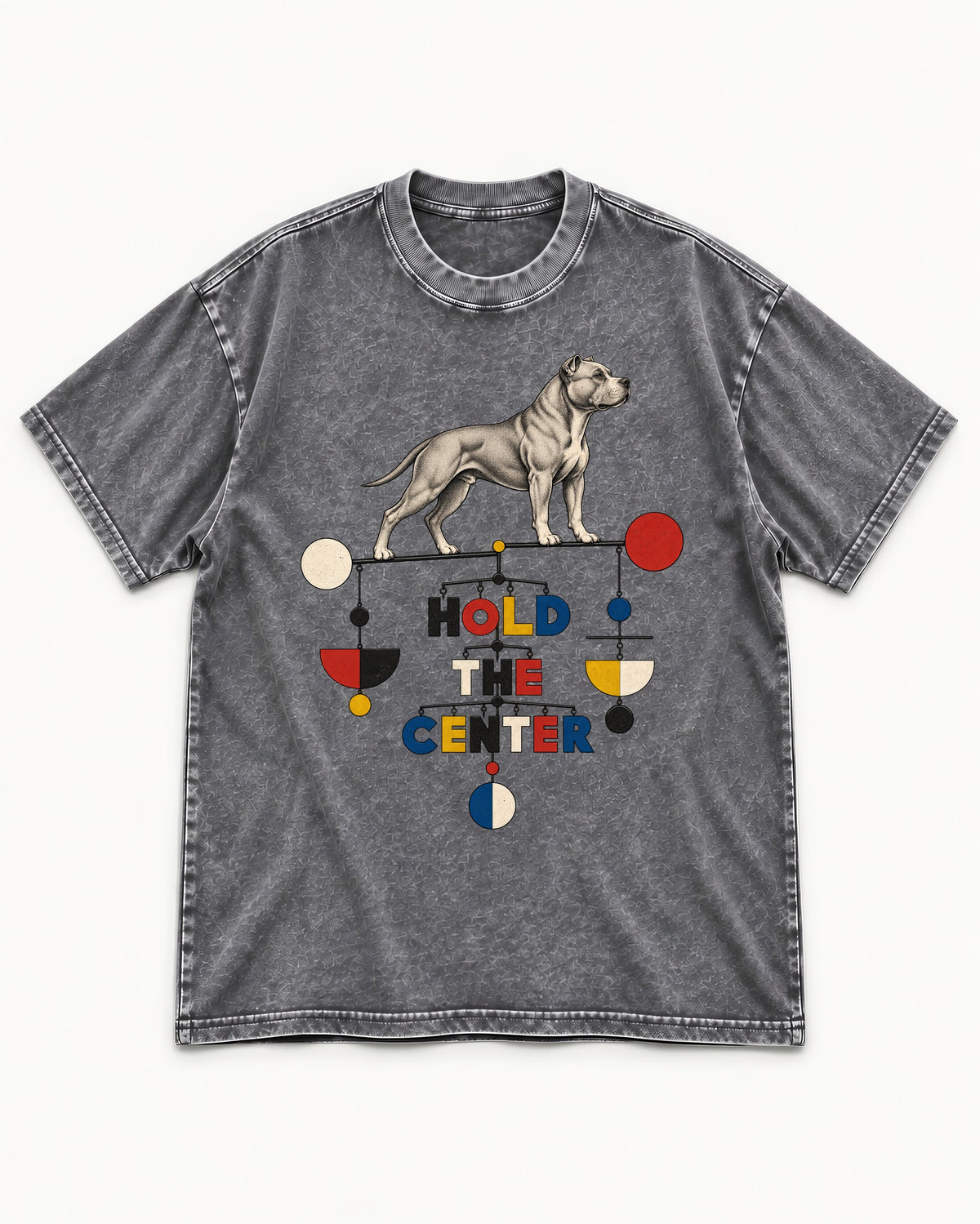 Pitbull Hold the Center Balance Mobile Graphic Washed Tee in Gray, flat lay product photo