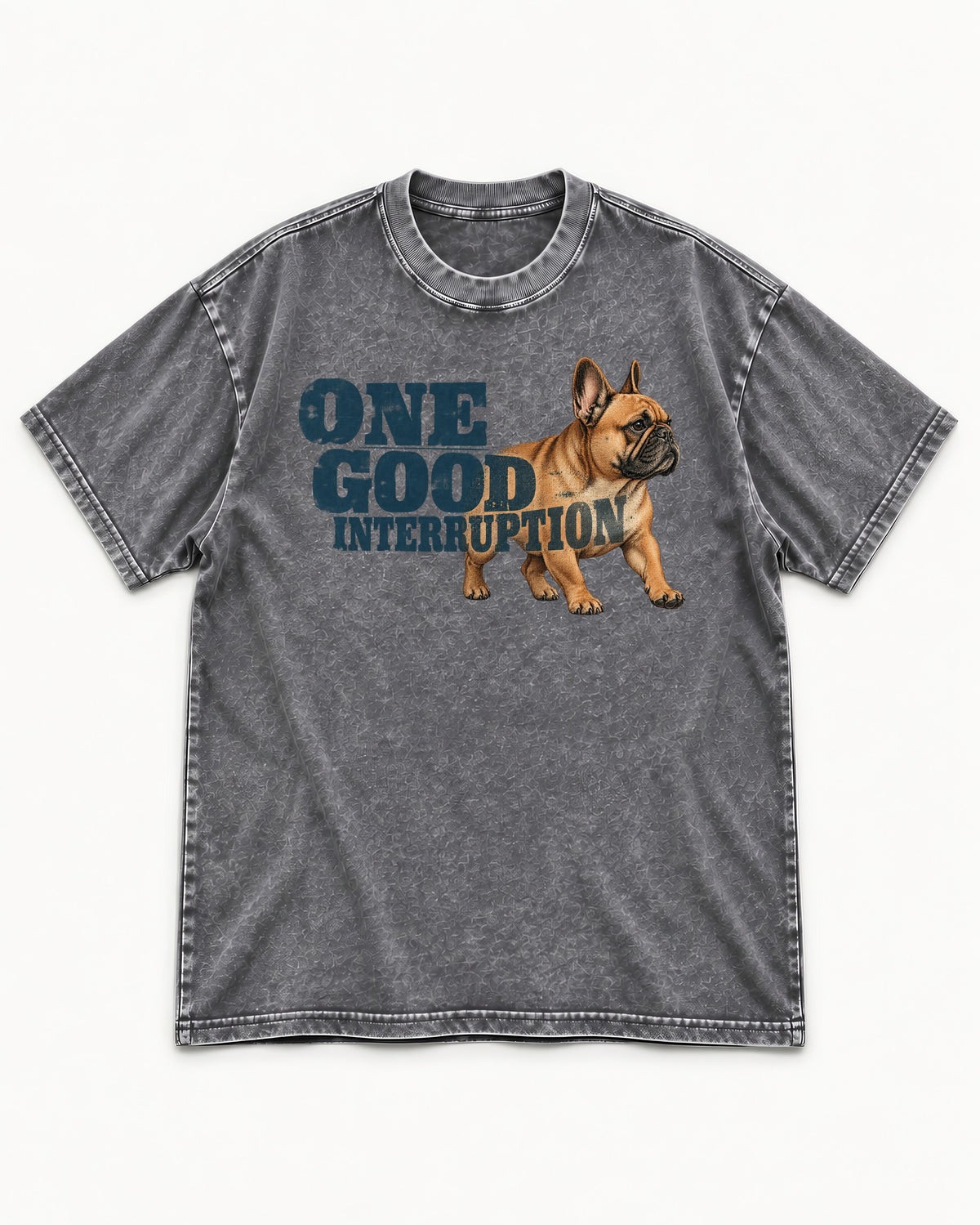 One Good Frenchie Interruption Washed Tee in Gray, flat lay product photo