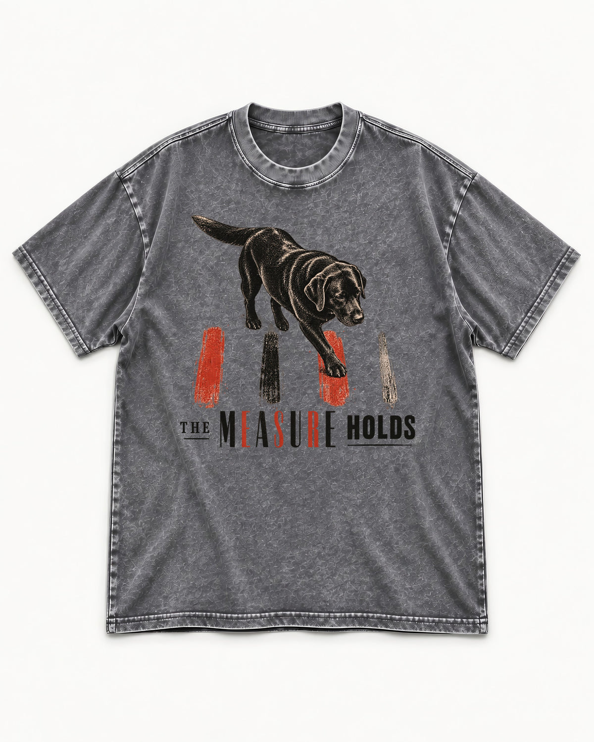 Labrador Retriever The Measure Holds Washed Tee in Gray, flat lay product photo