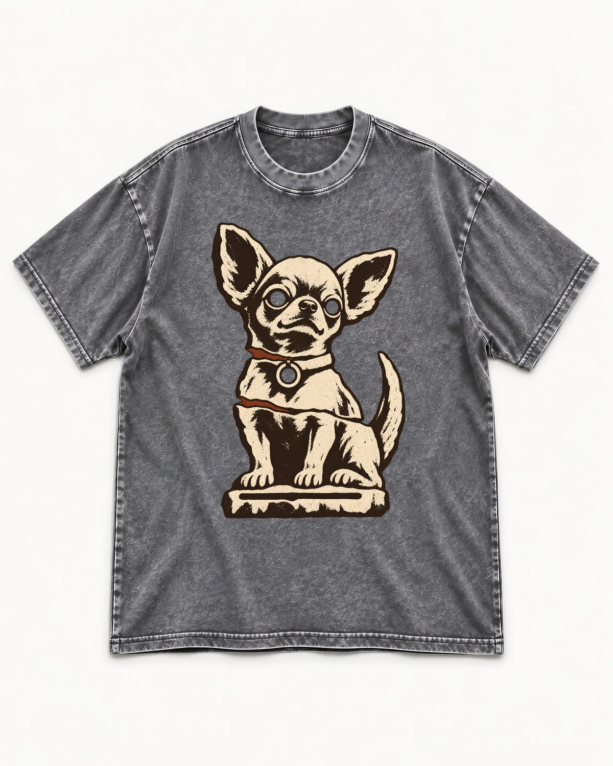 Chihuahua's Eternal Vigil Washed Tee in Gray, flat lay product photo