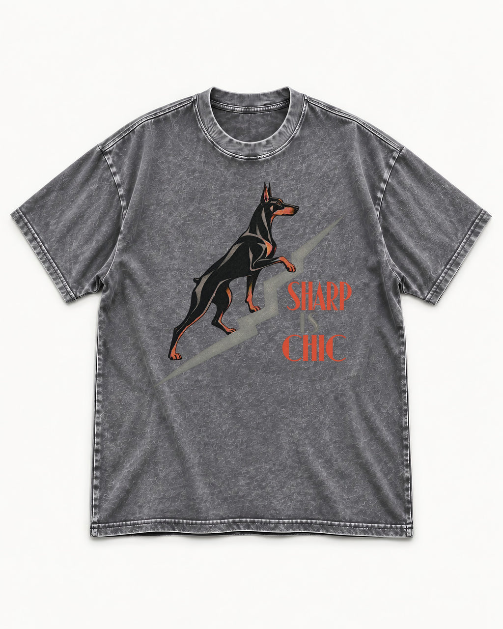 Doberman Is Chic Washed Tee in Gray, flat lay product photo