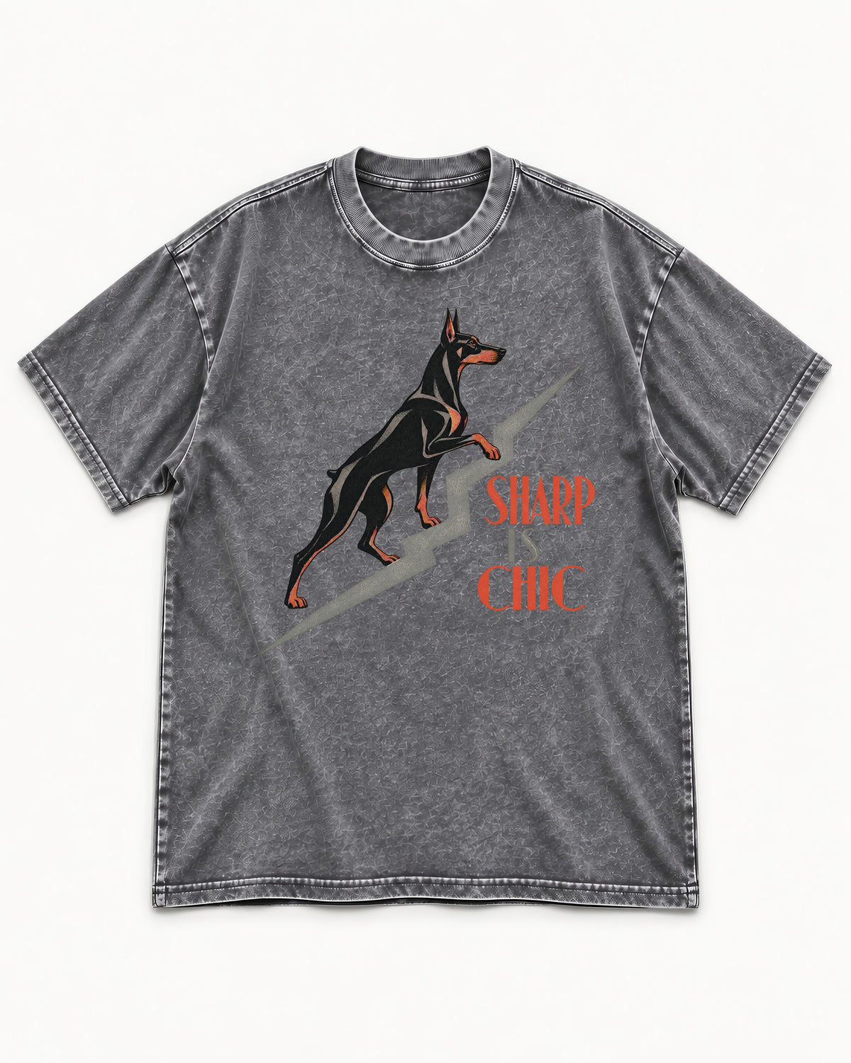 Doberman Is Chic Washed Tee in Gray, flat lay product photo