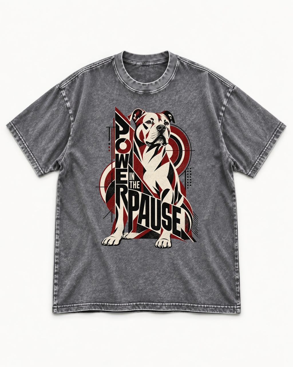 Pitbull Power in the Pause Geometric Graphic Washed Tee in Gray, flat lay product photo