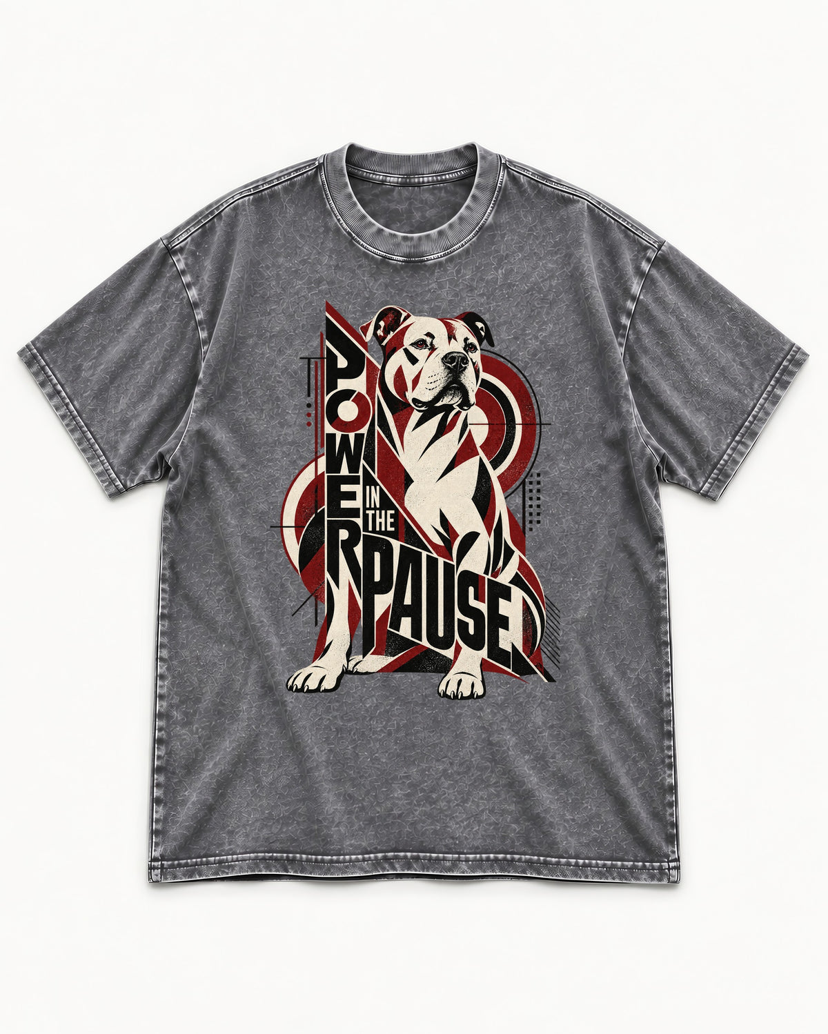 Pitbull Power in the Pause Geometric Graphic Washed Tee in Gray, flat lay product photo