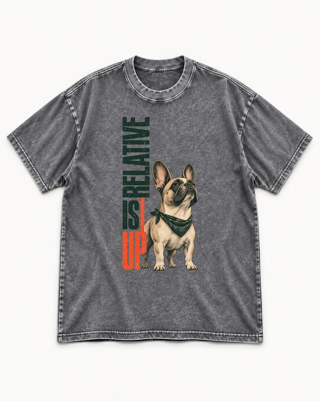 Up Is Relative Frenchie Washed Tee in Gray, flat lay product photo