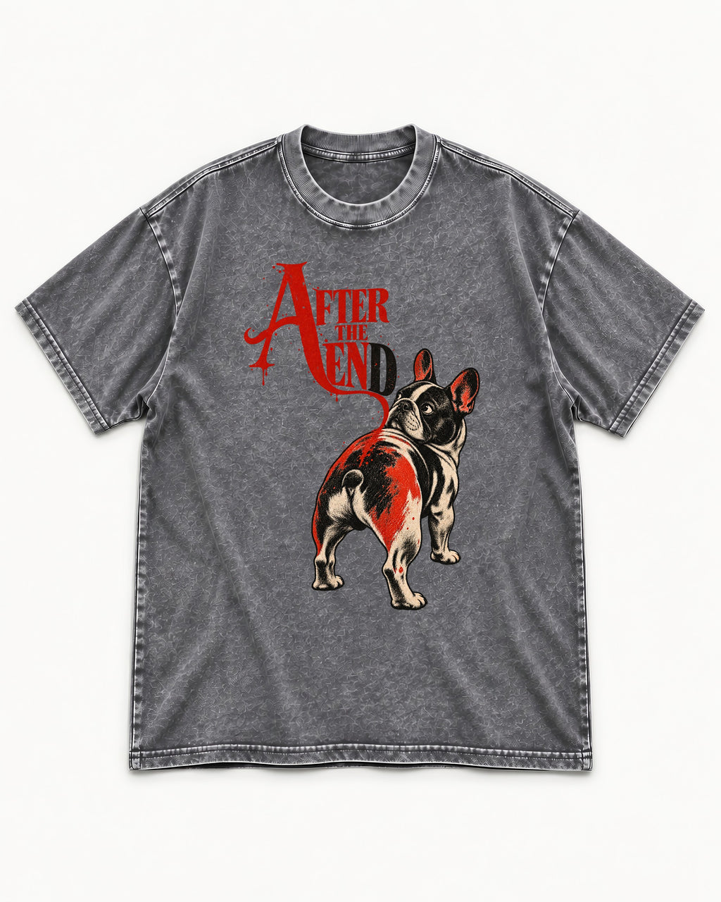 Frenchie After the End Washed Tee in Gray, flat lay product photo