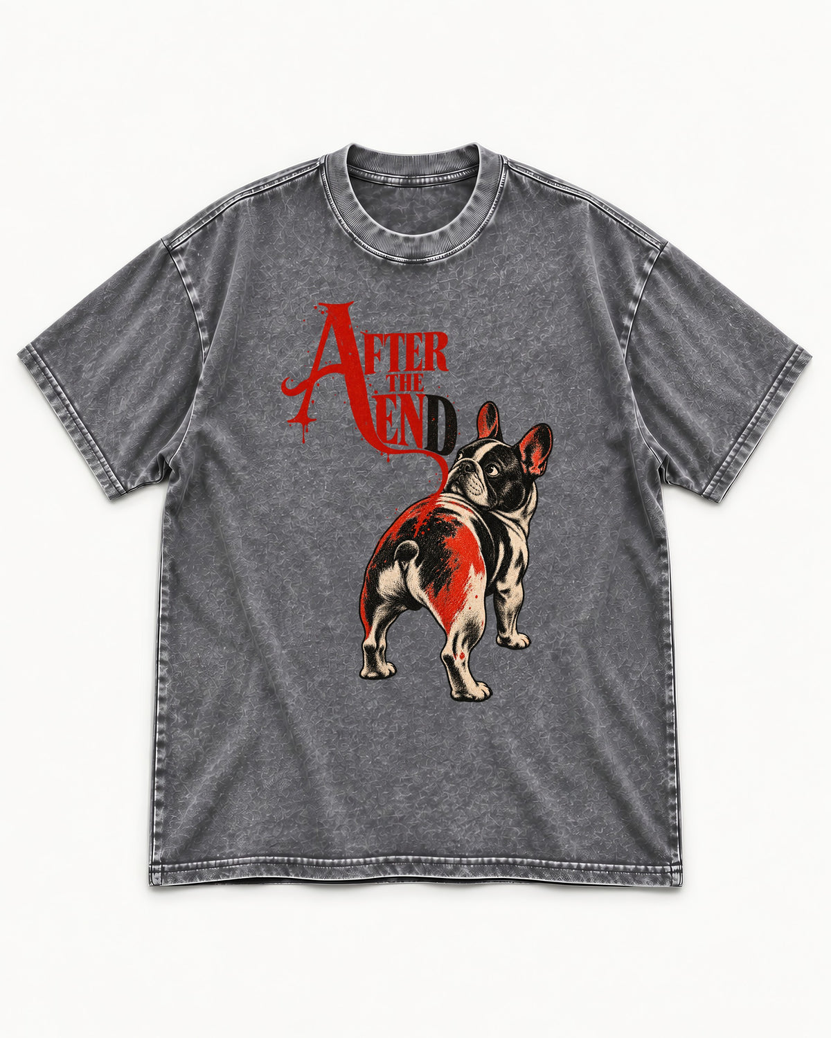 Frenchie After the End Washed Tee in Gray, flat lay product photo