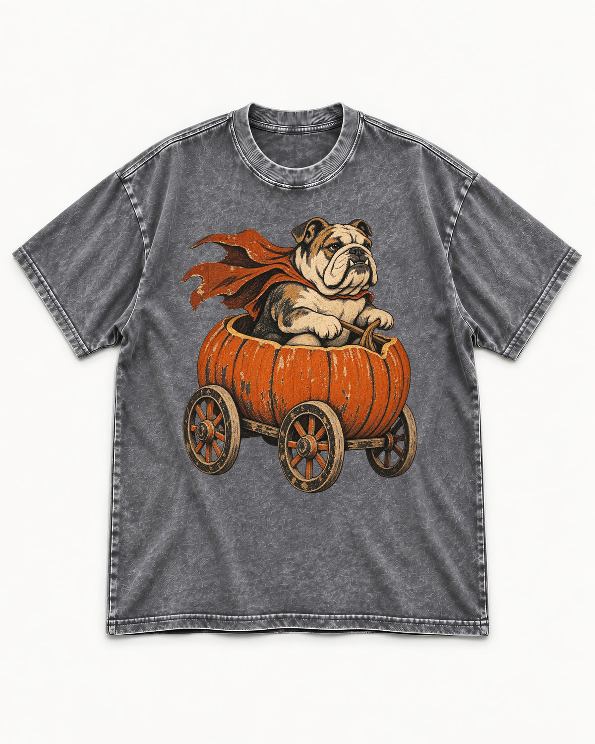 English Bulldog Midnight Magic Washed Tee in Gray, flat lay product photo