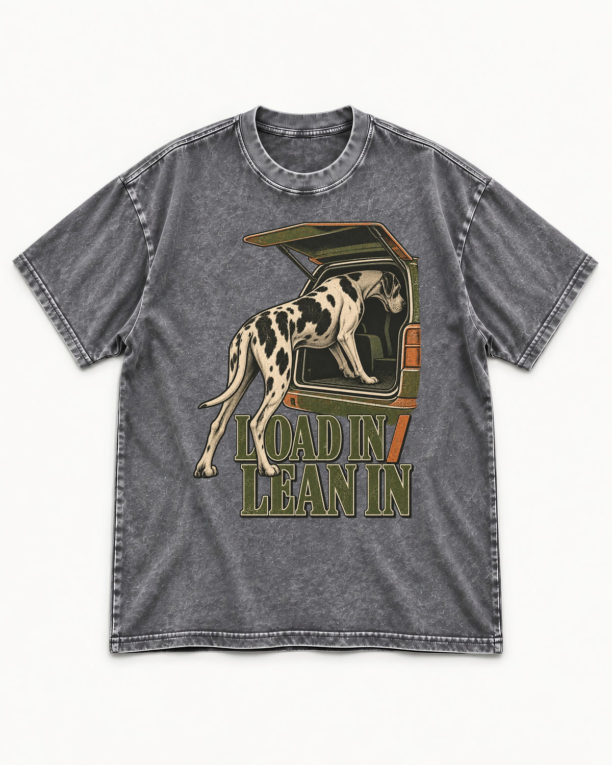 Great Dane Loadin' Leanin' Washed Tee in Gray, flat lay product photo