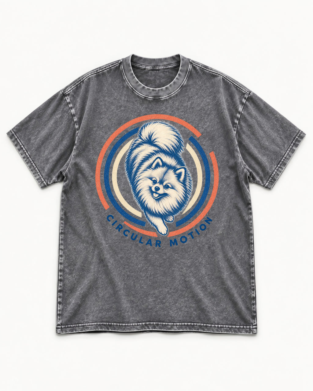 Pomeranian Circular Motion Washed Tee in Gray, flat lay product photo