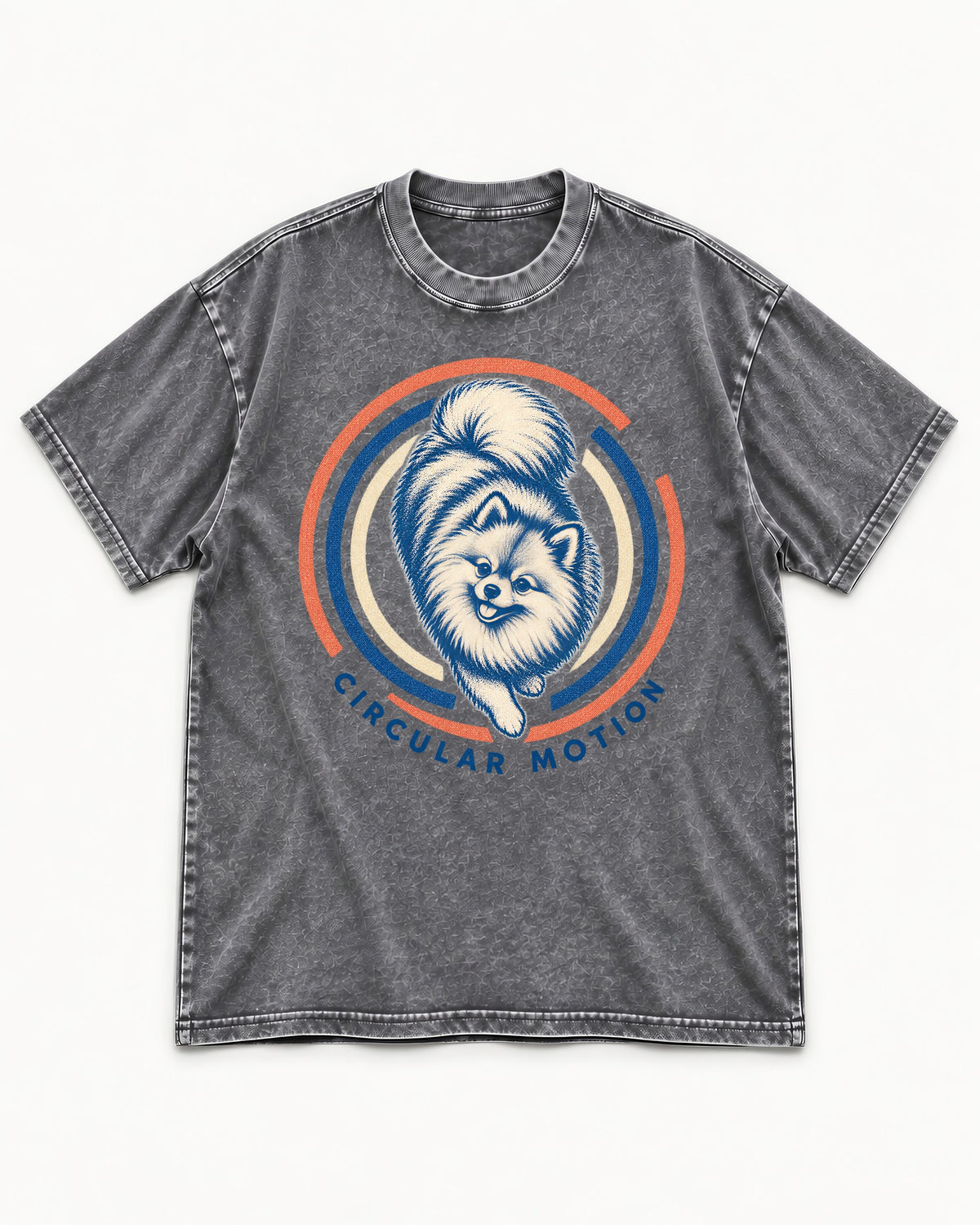 Pomeranian Circular Motion Washed Tee in Gray, flat lay product photo