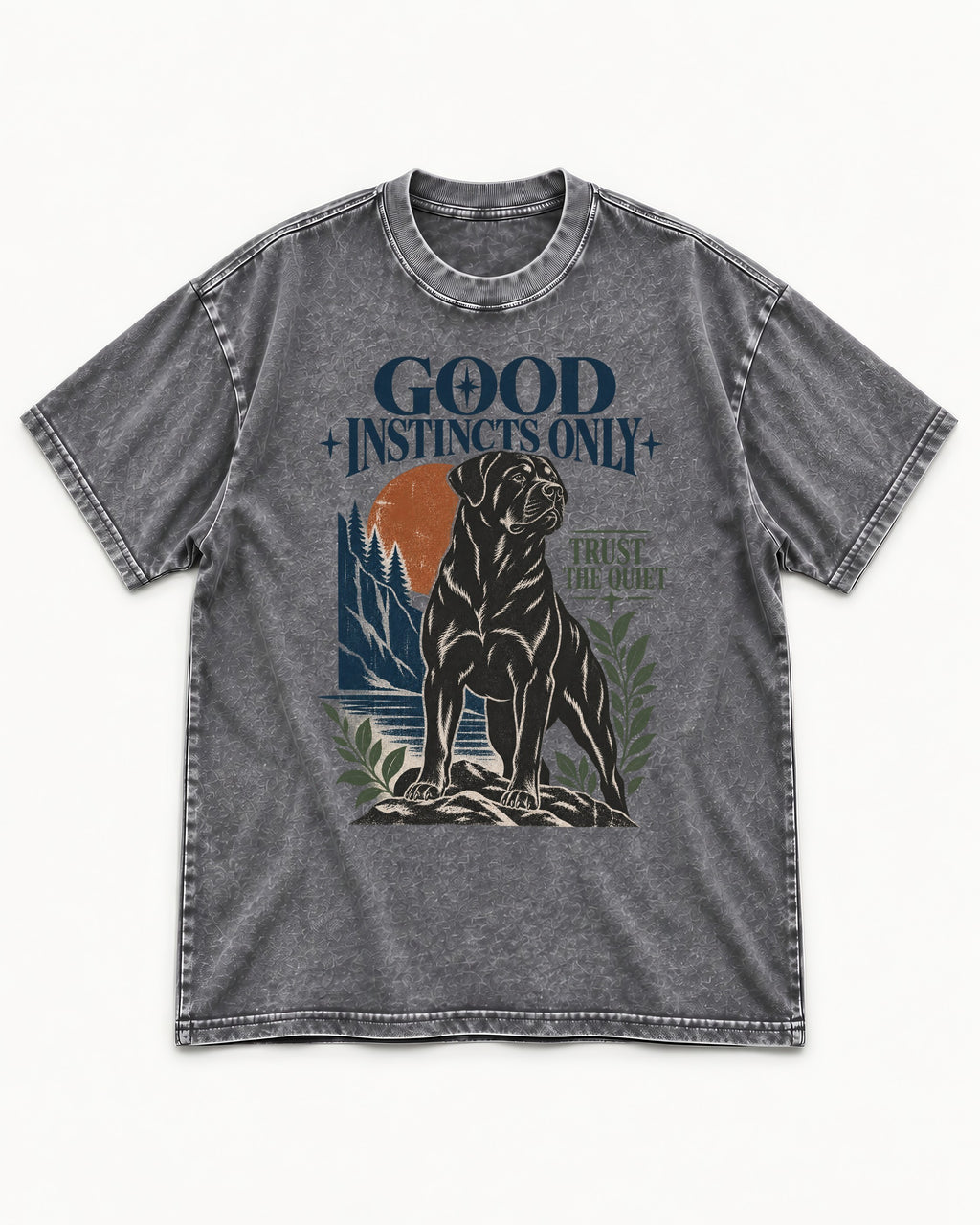 Good Instincts Only Rottweiler Washed Tee in Gray, flat lay product photo