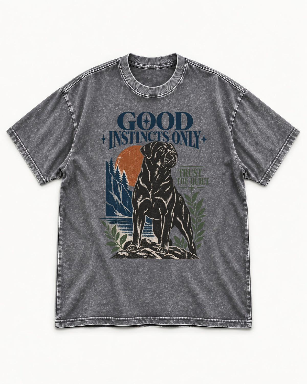 Good Instincts Only Rottweiler Washed Tee in Gray, flat lay product photo