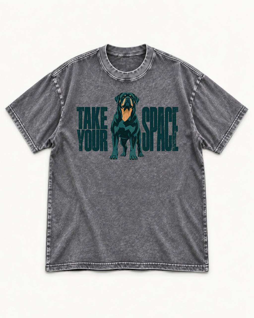 Rottweiler Take Your Space Washed Tee in Gray, flat lay product photo
