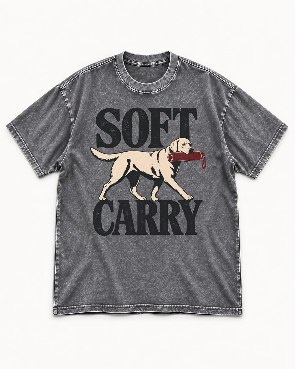 Soft Carry Labrador Retriever Washed Tee in Gray, flat lay product photo
