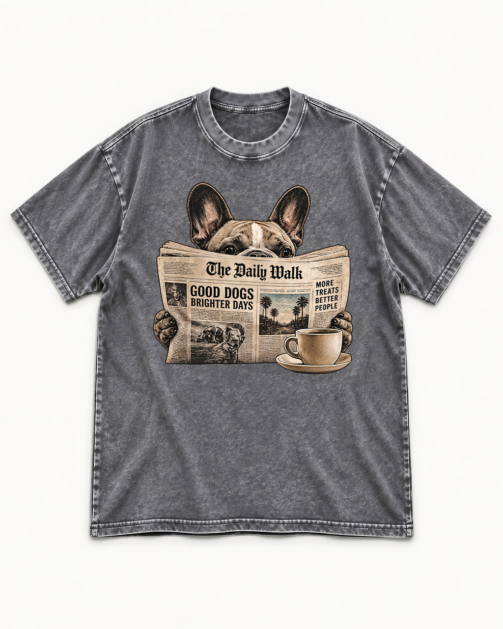 Frenchie Good Dogs Brighter Days Newspaper Graphic Washed Tee in Gray, flat lay product photo