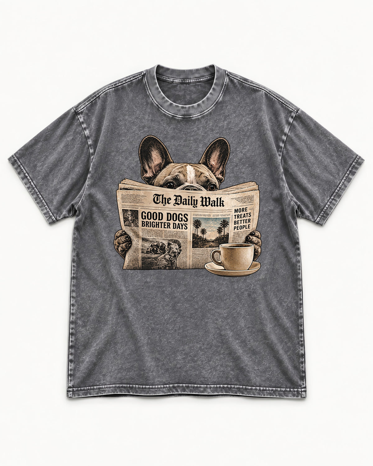 Frenchie Good Dogs Brighter Days Newspaper Graphic Washed Tee in Gray, flat lay product photo