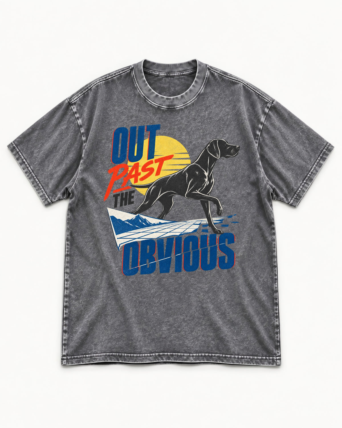 Out Past the Obvious German Shorthaired Pointer Washed Tee in Gray, flat lay product photo