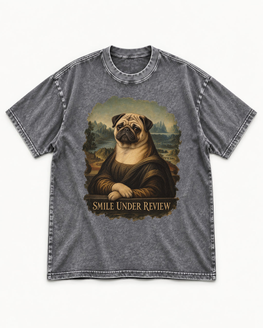 Pug Smile Under Review Mona Lisa Graphic Washed Tee in Gray, flat lay product photo