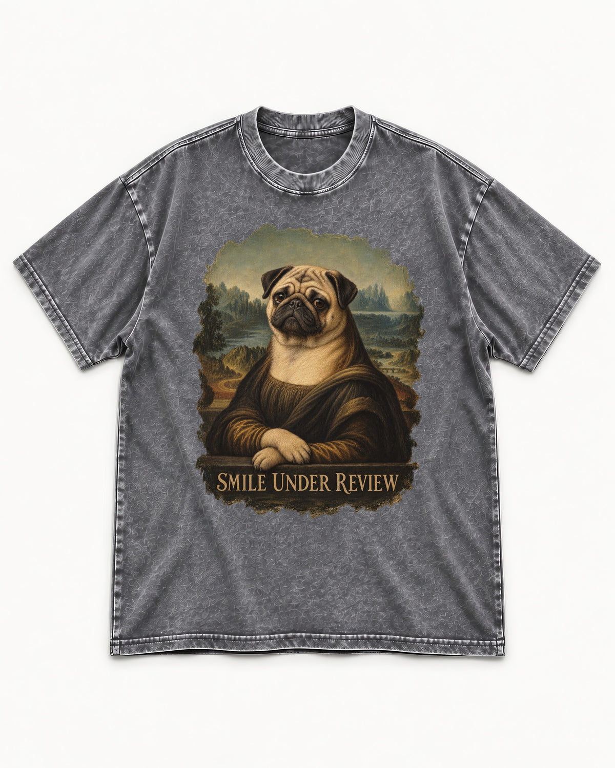 Pug Smile Under Review Mona Lisa Graphic Washed Tee in Gray, flat lay product photo