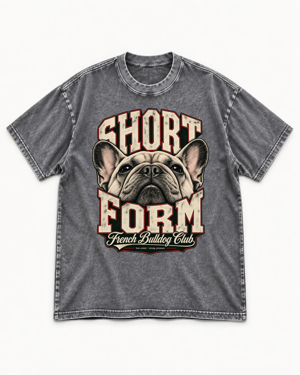 Short Form Frenchie Washed Tee in Gray, flat lay product photo