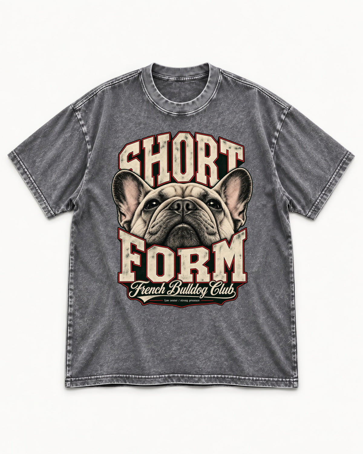 Short Form Frenchie Washed Tee in Gray, flat lay product photo