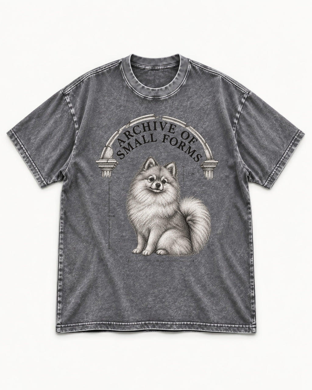 Pomeranian Archive of Small Forms Washed Tee in Gray, flat lay product photo