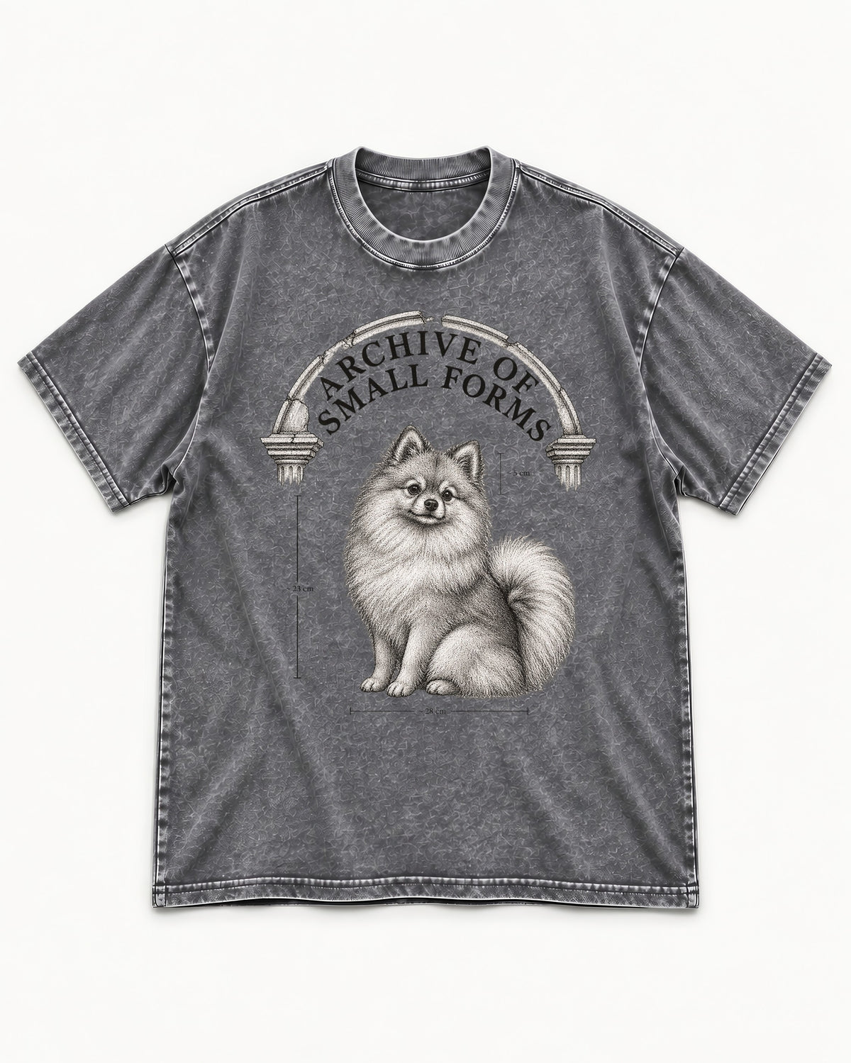 Pomeranian Archive of Small Forms Washed Tee in Gray, flat lay product photo