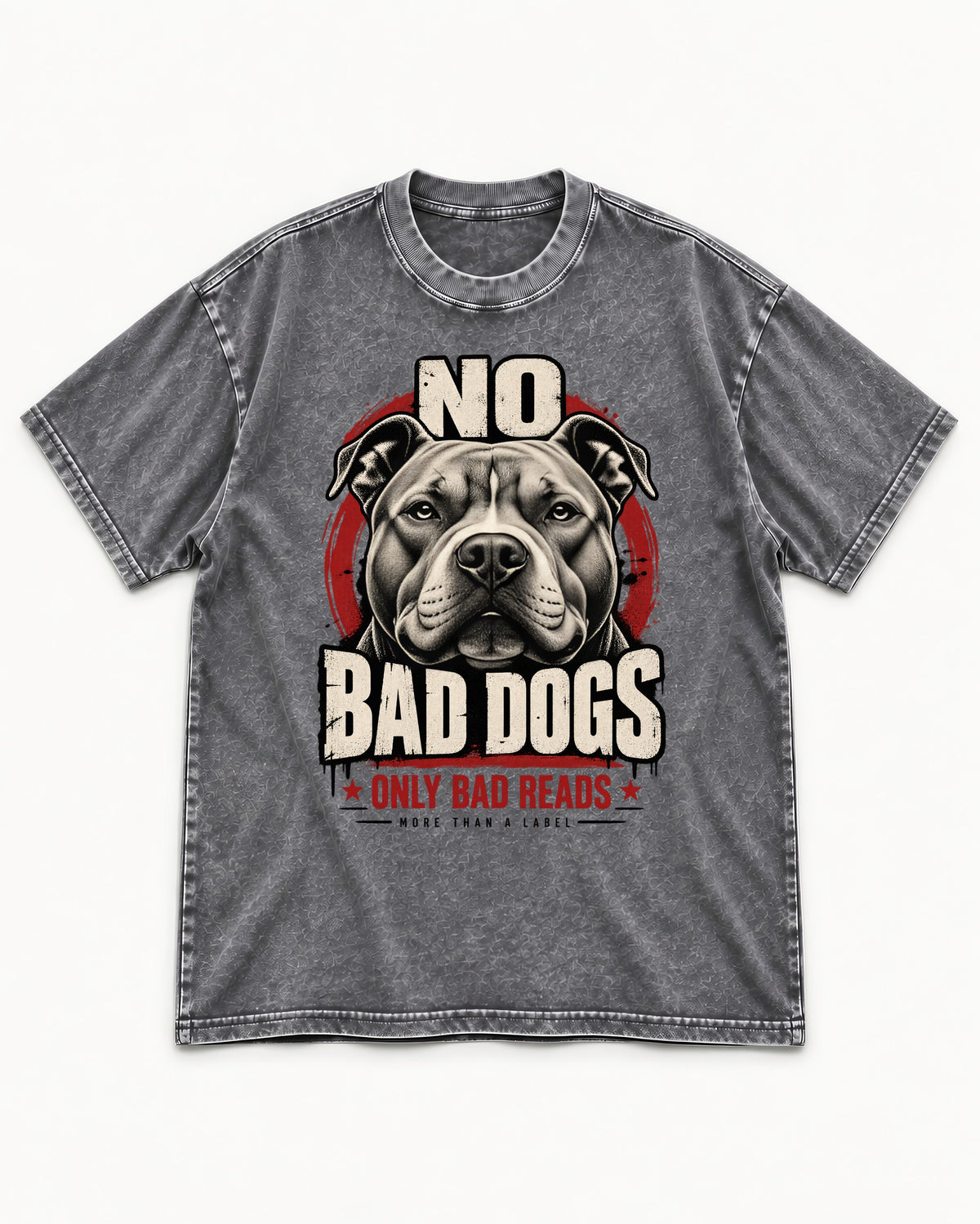 Pitbull Only Bad Reads Washed Tee in Gray, flat lay product photo