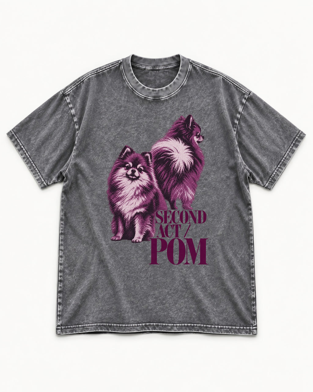 Second Act Pomeranian Washed Tee in Gray, flat lay product photo
