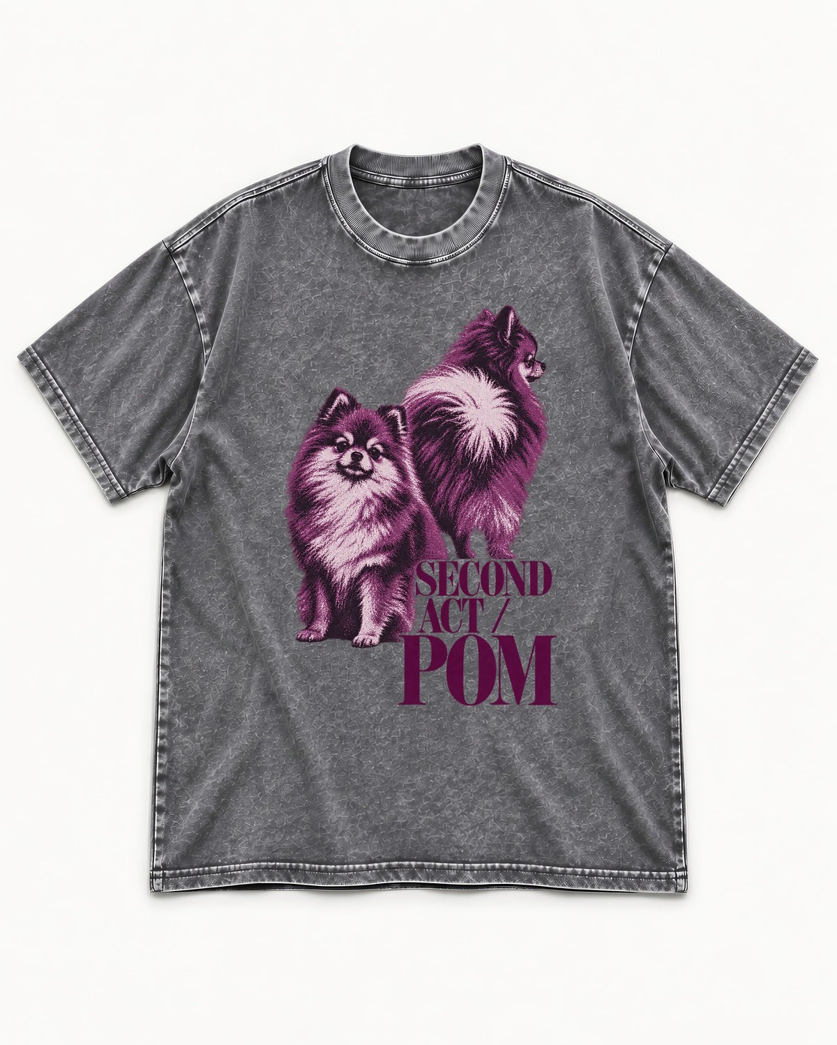 Second Act Pomeranian Washed Tee in Gray, flat lay product photo