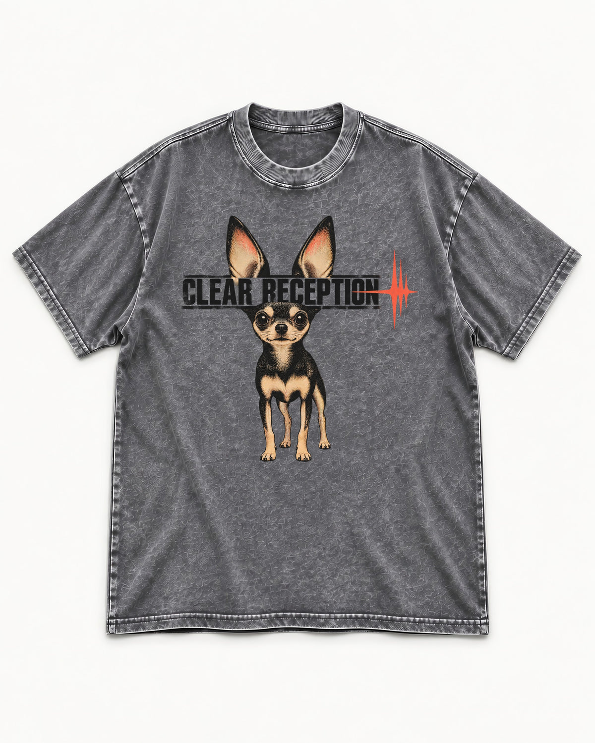 Chihuahua Clear Reception Washed Tee in Gray, flat lay product photo