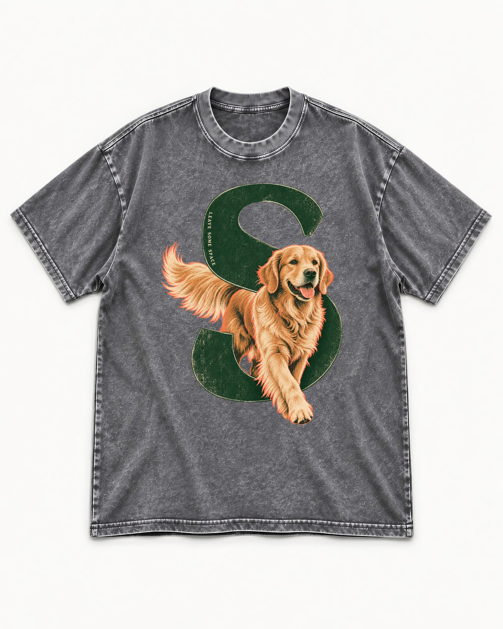 Golden Retriever Leave Some Space Monogram Graphic Washed Tee in Gray, flat lay product photo