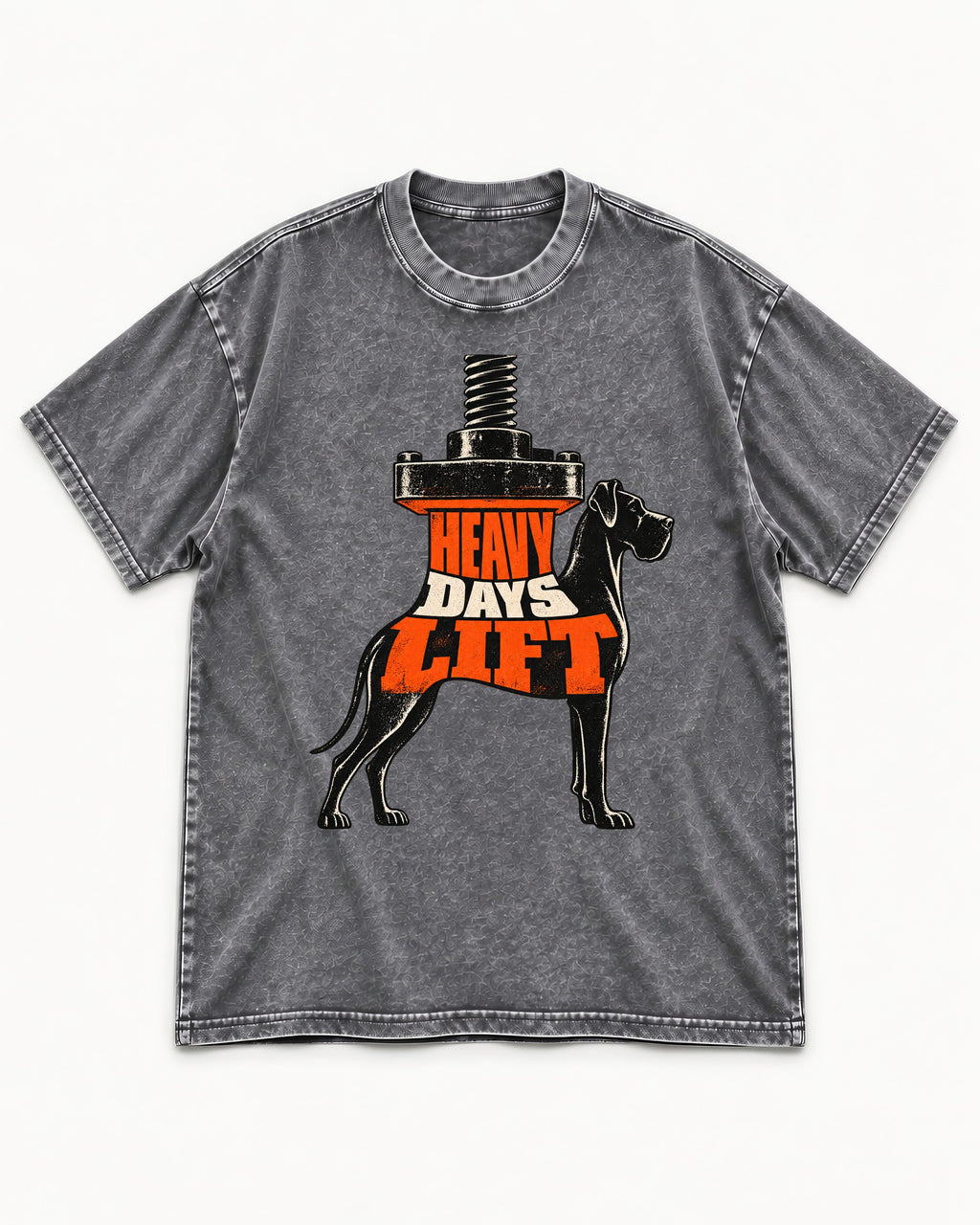 Great Dane Heavy Days Lift Washed Tee in Gray, flat lay product photo