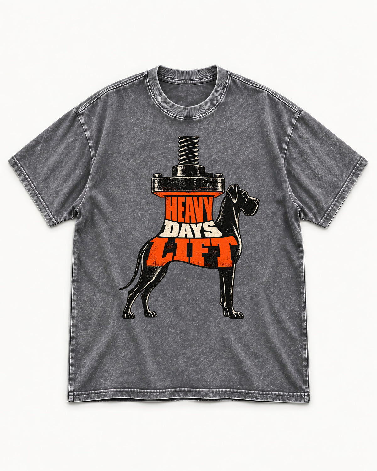 Great Dane Heavy Days Lift Washed Tee in Gray, flat lay product photo