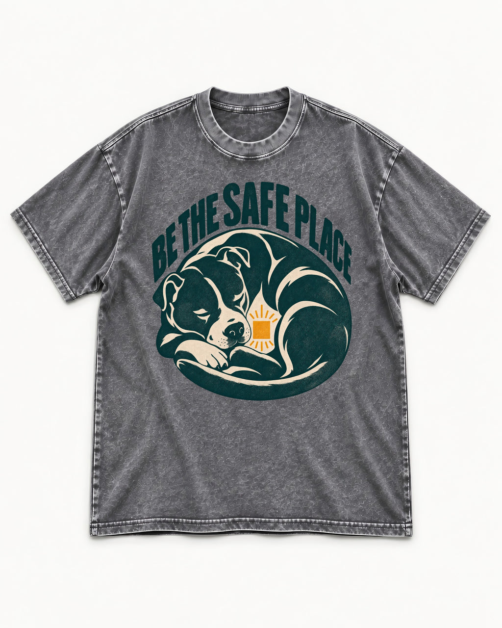 Pitbull Safe Place Washed Tee in Gray, flat lay product photo