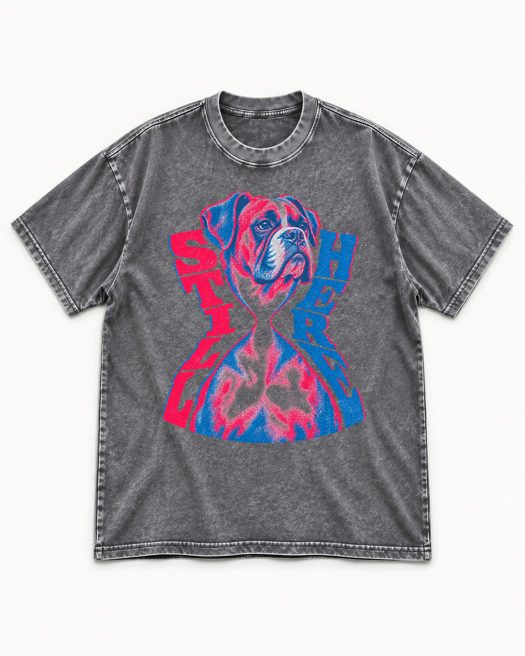 Stay Here Boxer Duotone Portrait Washed Tee in Gray, flat lay product photo