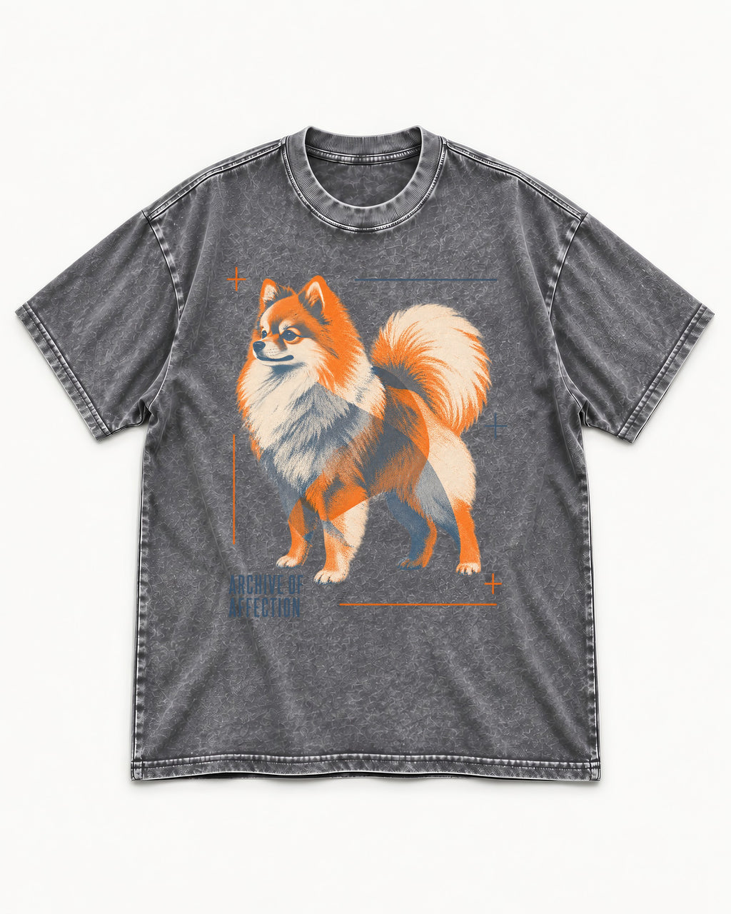 Pomeranian Archive of Affection Washed Tee in Gray, flat lay product photo