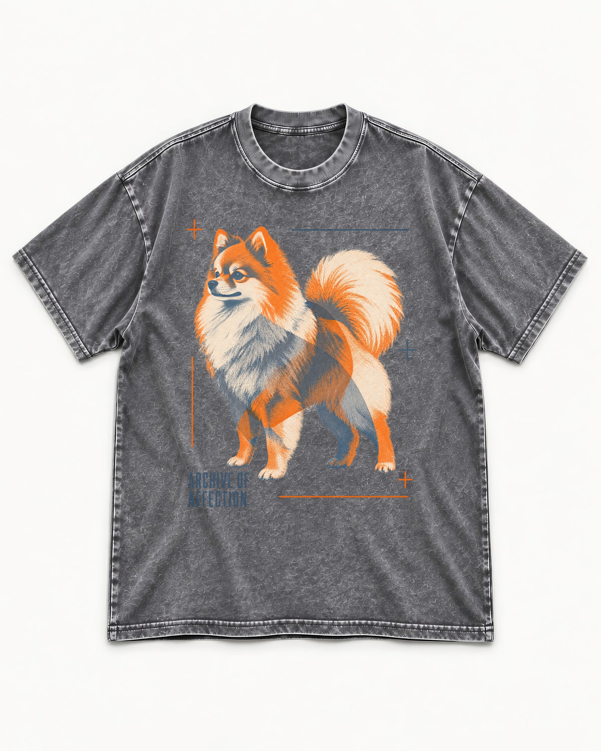 Pomeranian Archive of Affection Washed Tee in Gray, flat lay product photo