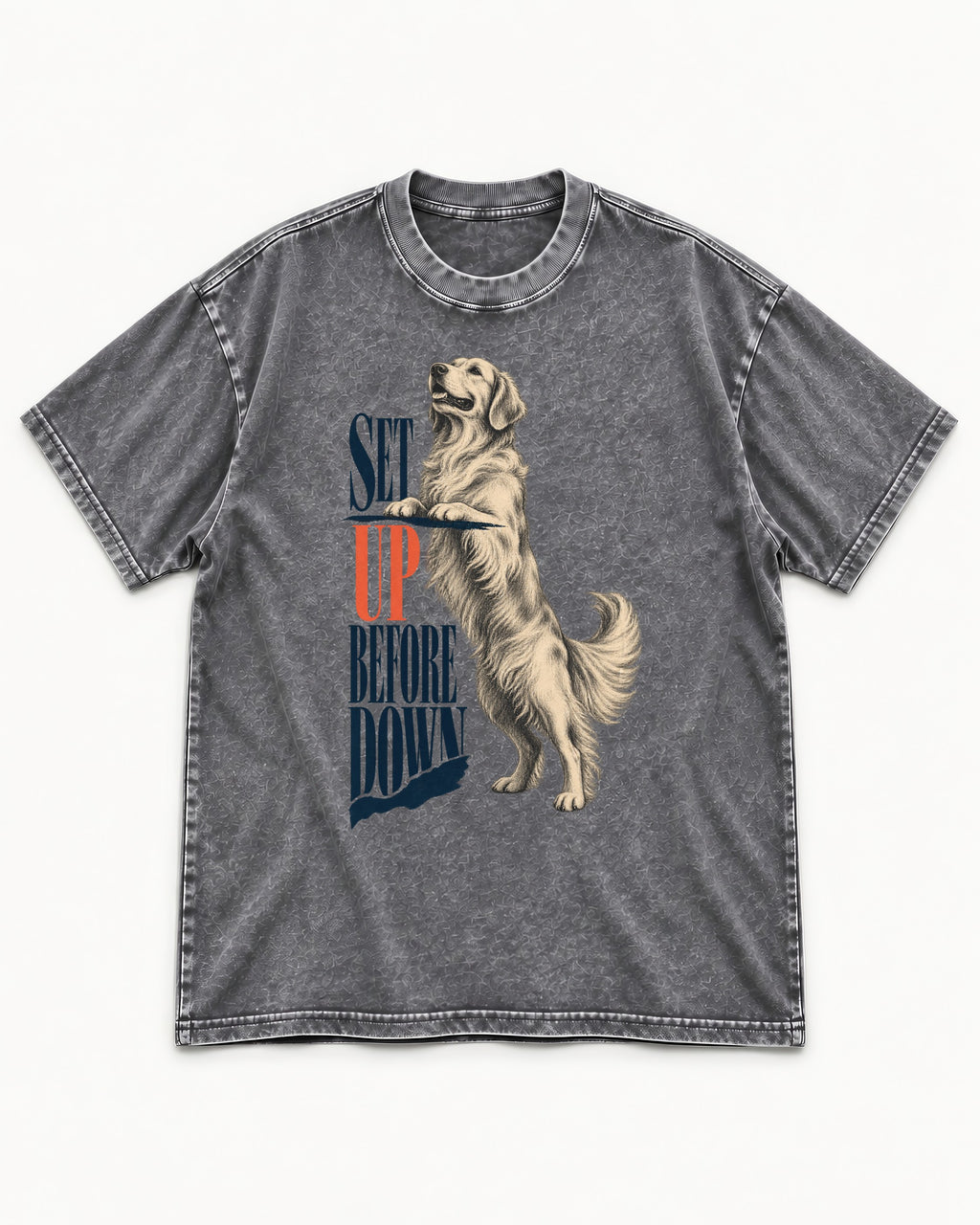 Golden Retriever Set Up Before Down Washed Tee in Gray, flat lay product photo