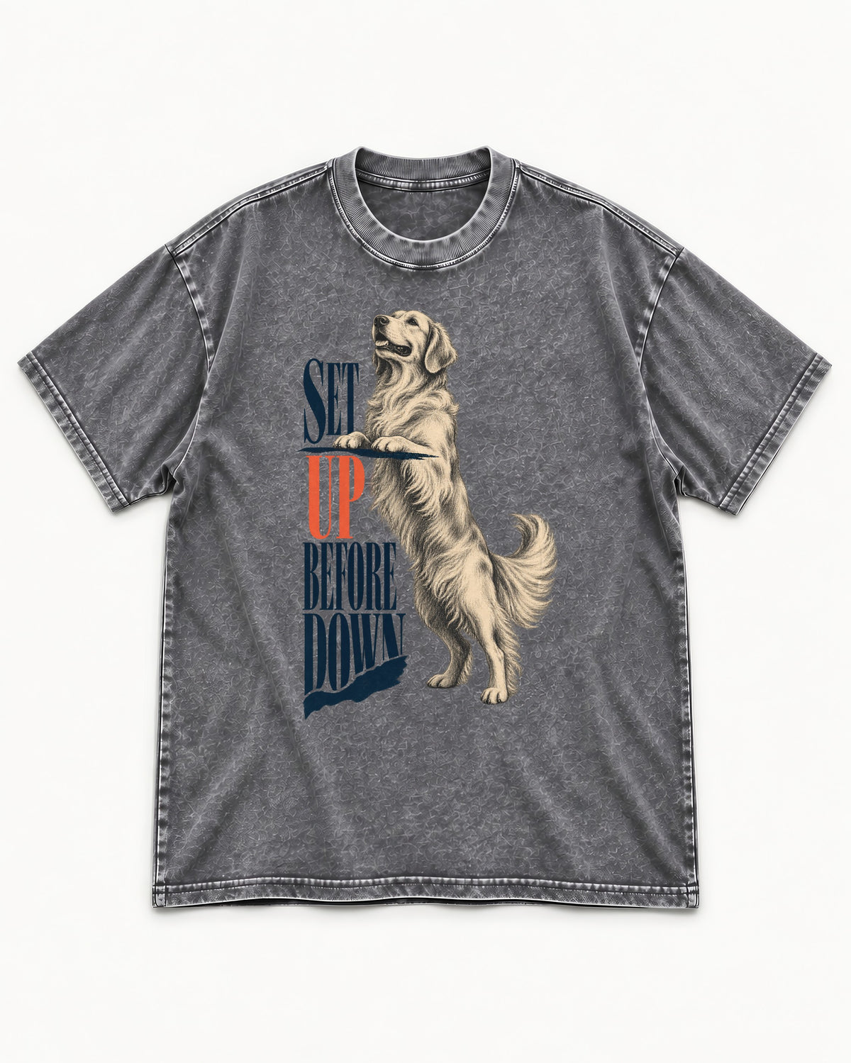 Golden Retriever Set Up Before Down Washed Tee in Gray, flat lay product photo
