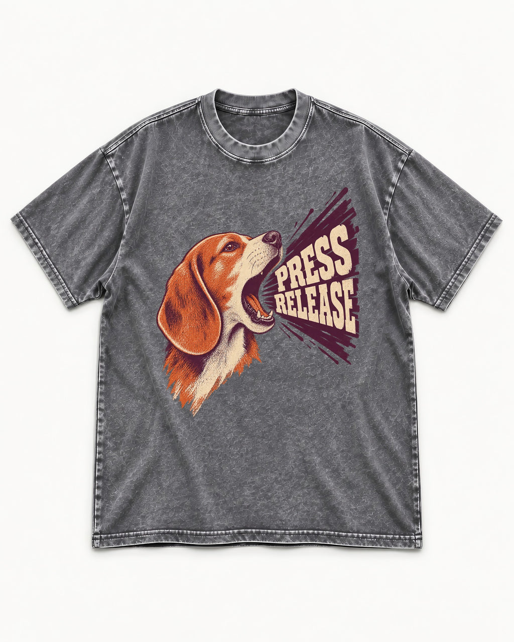 Beagle Press Release Washed Tee in Gray, flat lay product photo