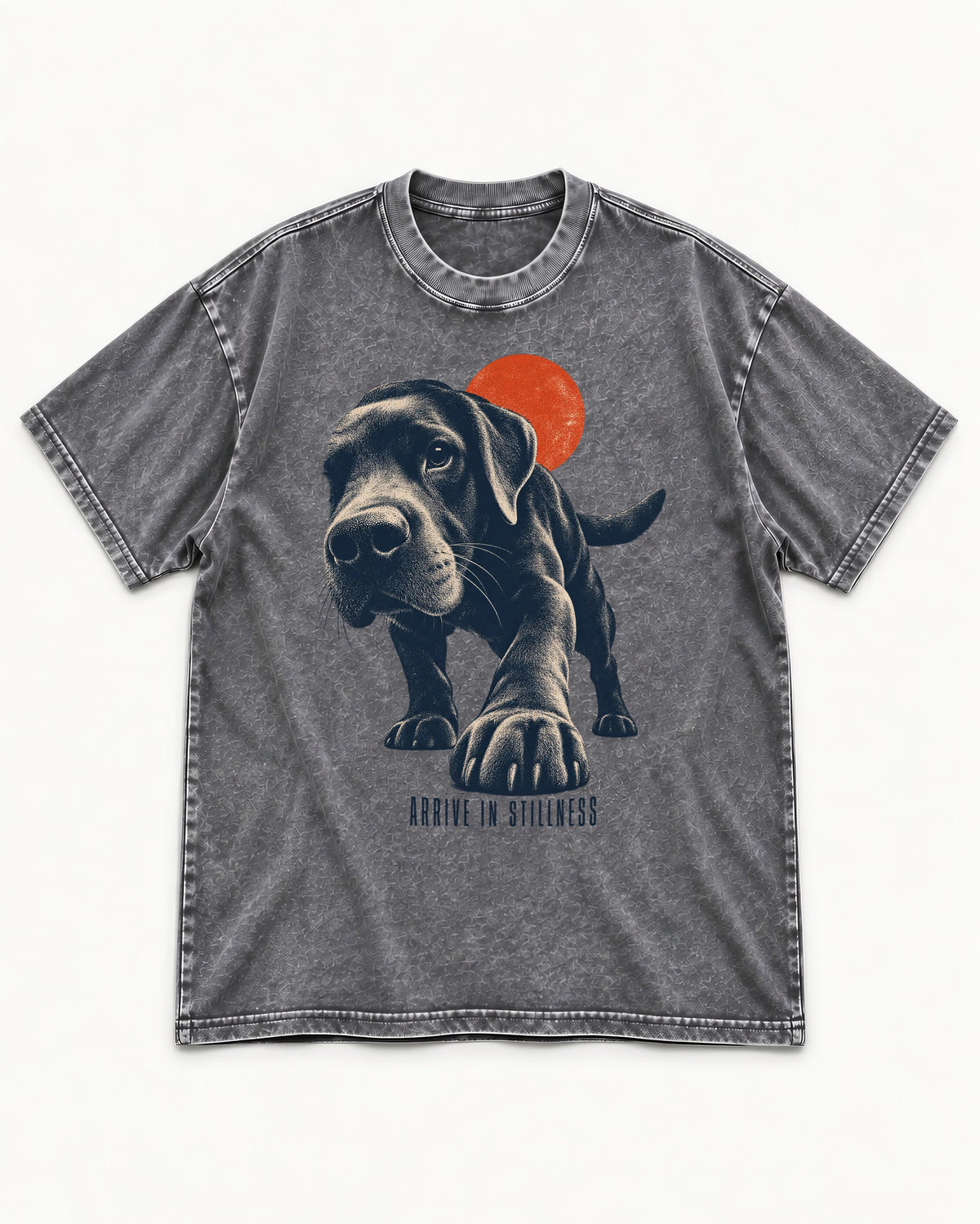 Labrador Retriever Arrive in Stillness Washed Tee in Gray, flat lay product photo
