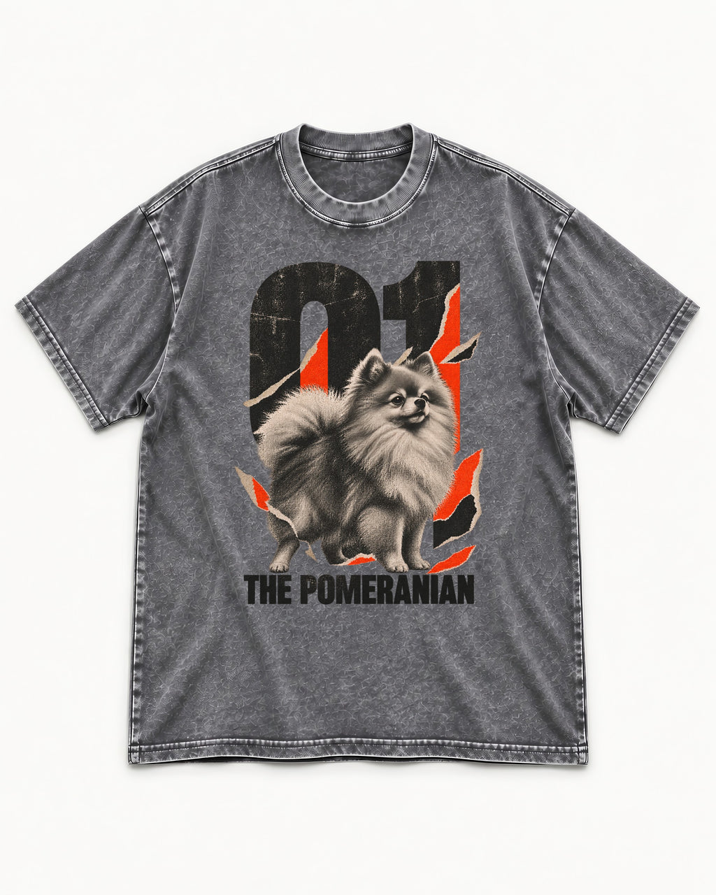 The Pomeranian Washed Tee in Gray, flat lay product photo