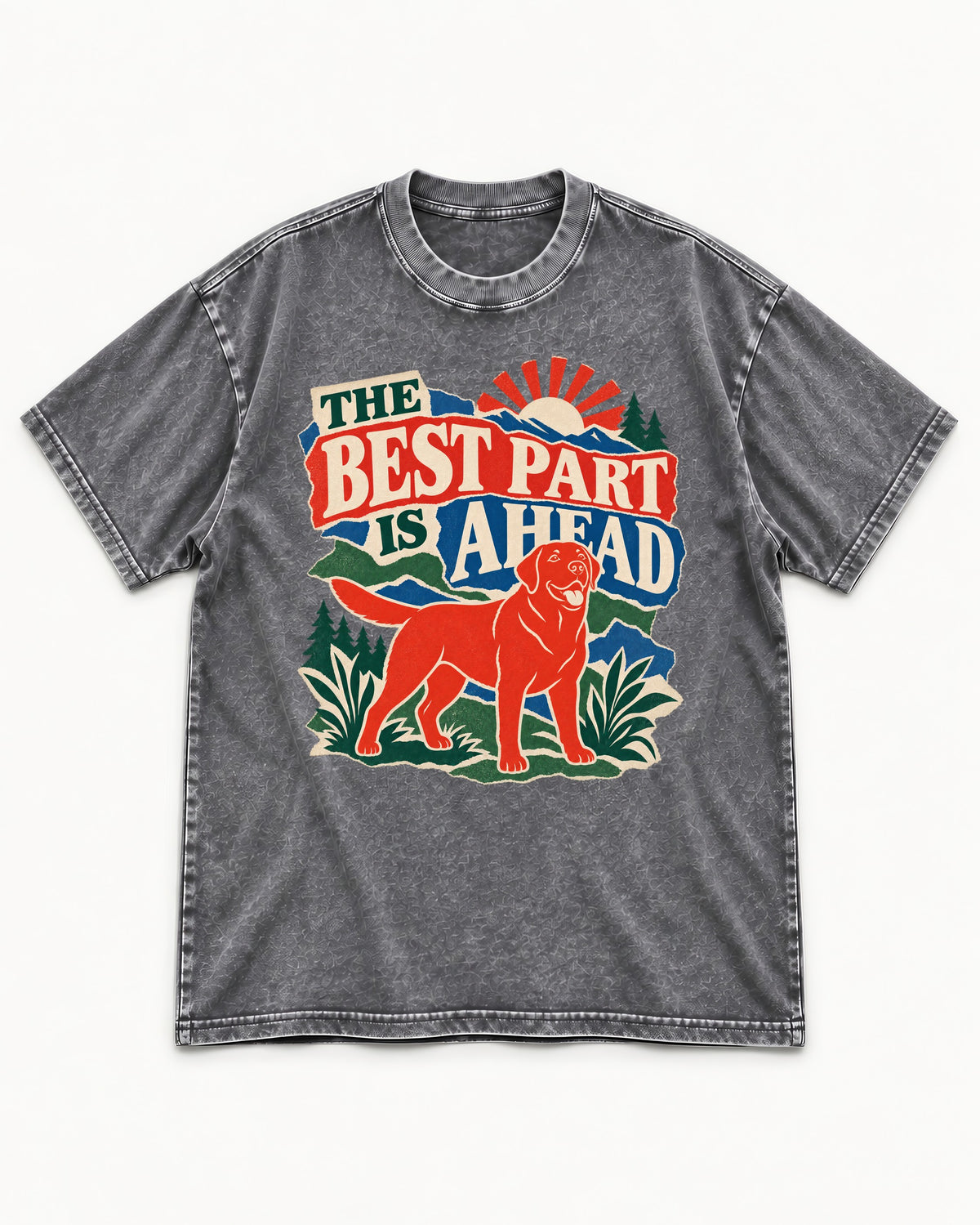 Labrador Retriever The Best Part Is Ahead Outdoor Graphic Washed Tee in Gray, flat lay product photo