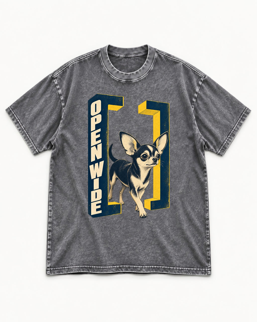 Open Wide Chihuahua Washed Tee in Gray, flat lay product photo