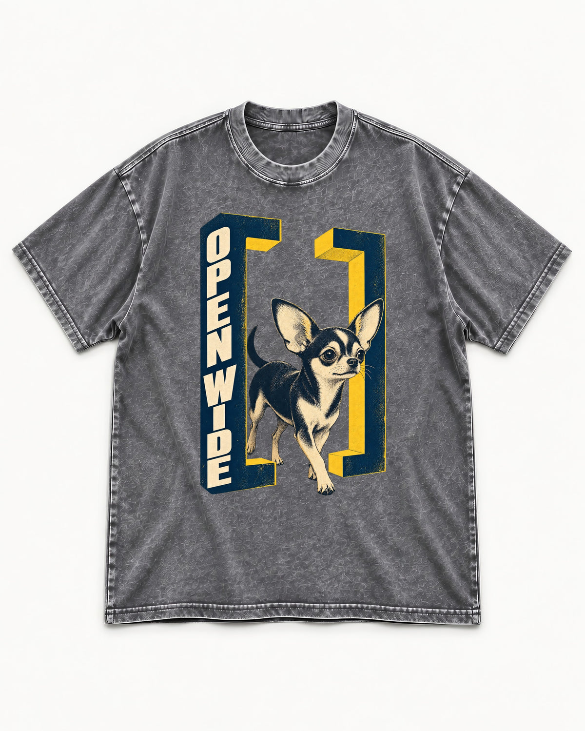 Open Wide Chihuahua Washed Tee in Gray, flat lay product photo
