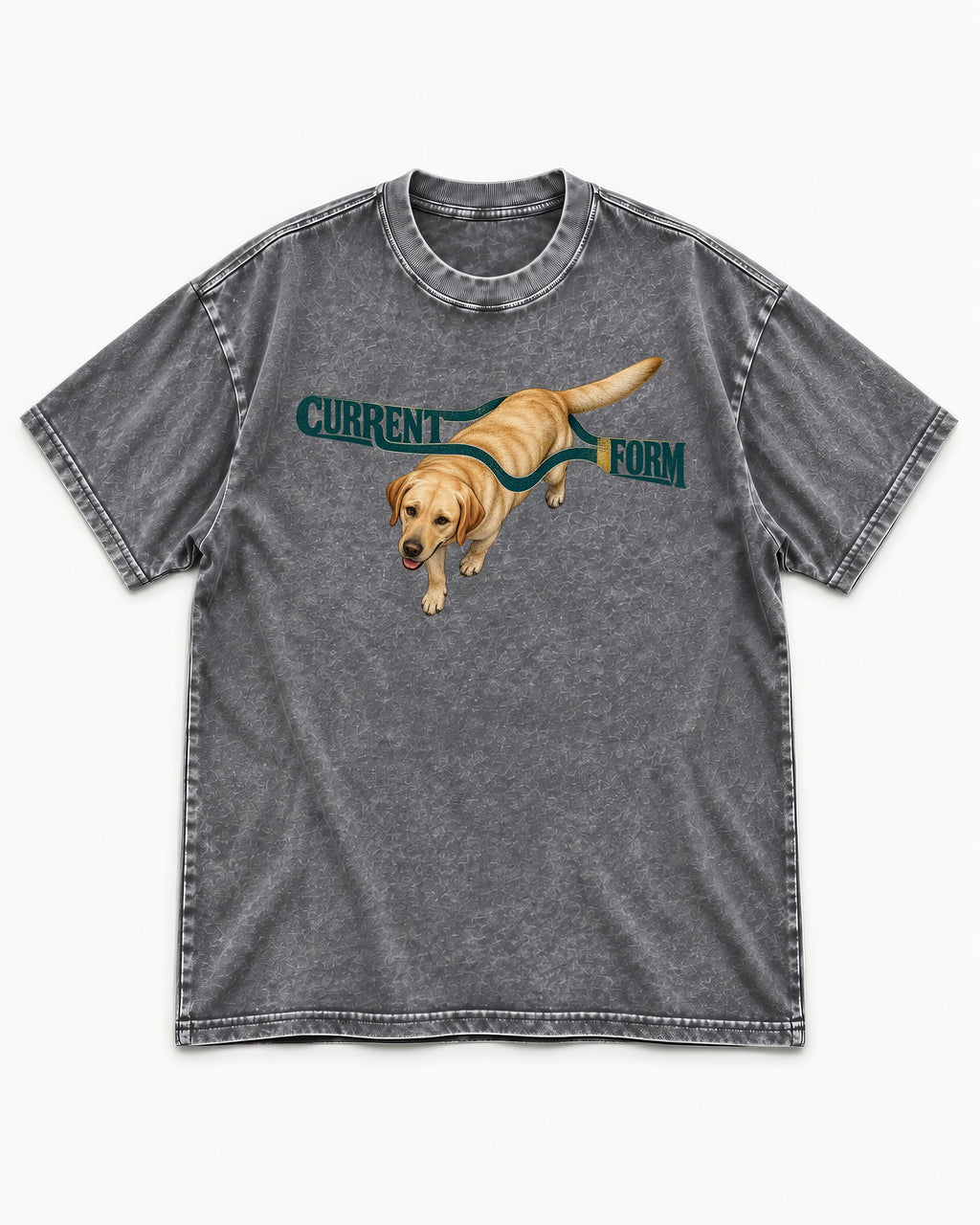 Labrador Retriever Current Form Washed Tee in Gray, flat lay product photo